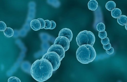 communicable-diseases